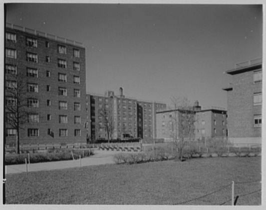 South Jamaica Houses NYCHA Injury Lawyer